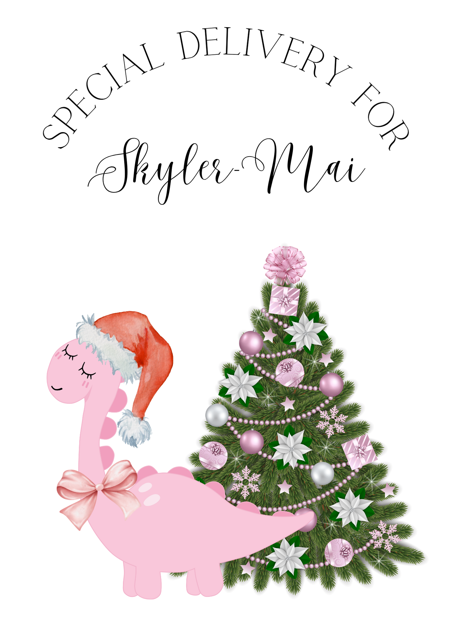 (Tester) Stocking and Santa Sack