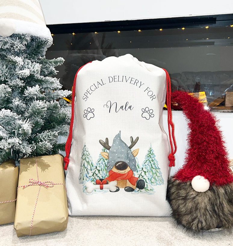 Santa Sack Reindeer Pet