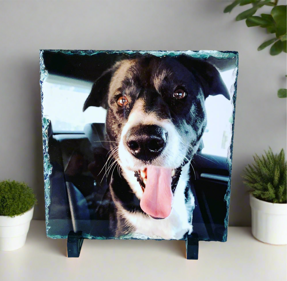 Gloss Pet Photo Slate (19cm)