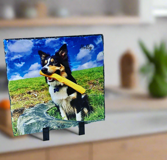 Gloss Pet Photo Slate (19cm)