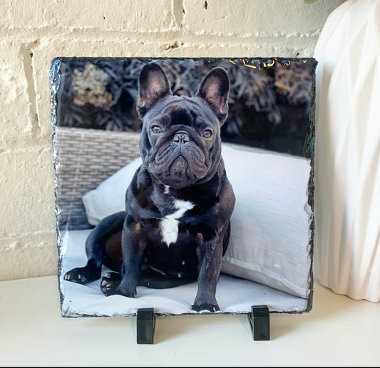 Gloss Photo Slate 19cm (Photo Only)