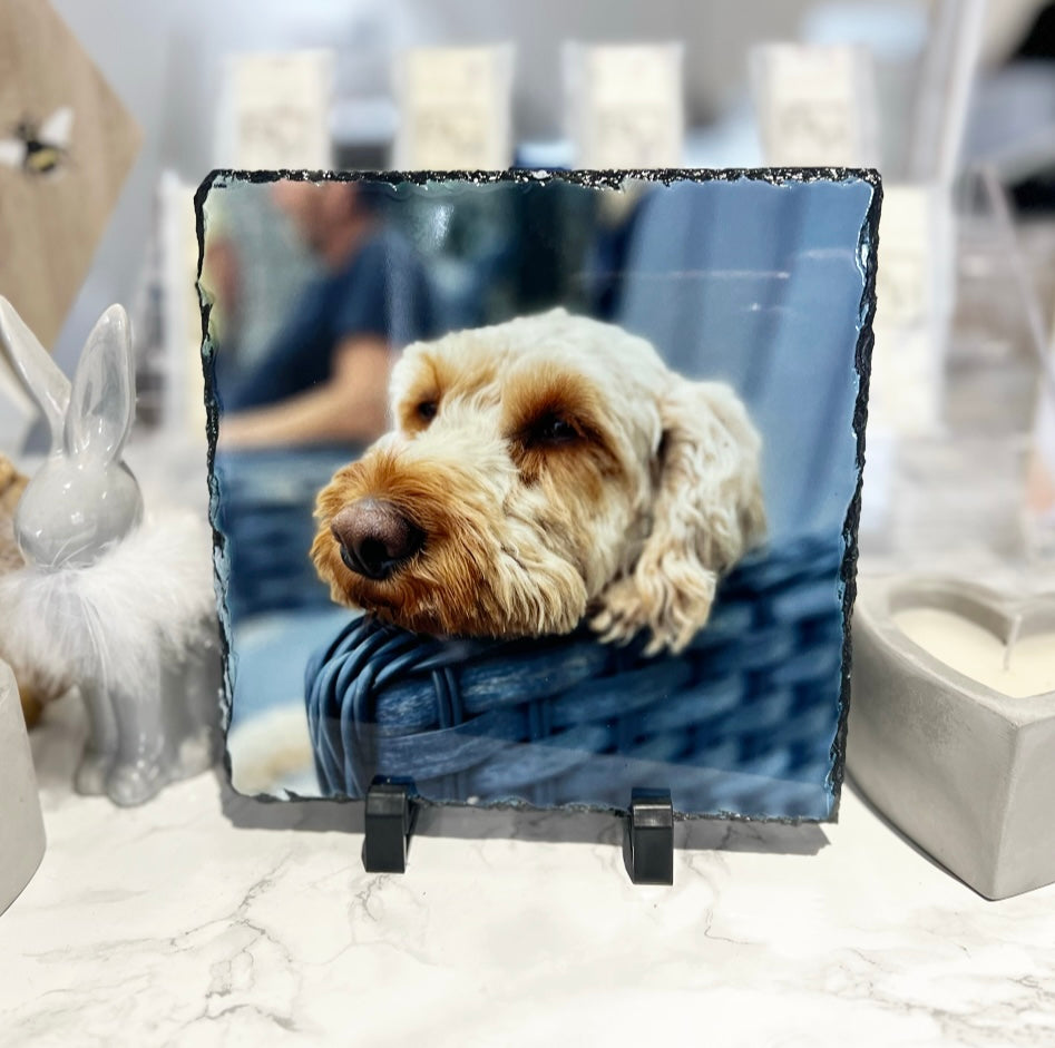 Gloss Photo Slate 19cm (Photo Only)