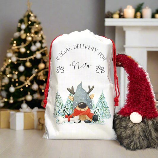 Santa Sack Reindeer Pet