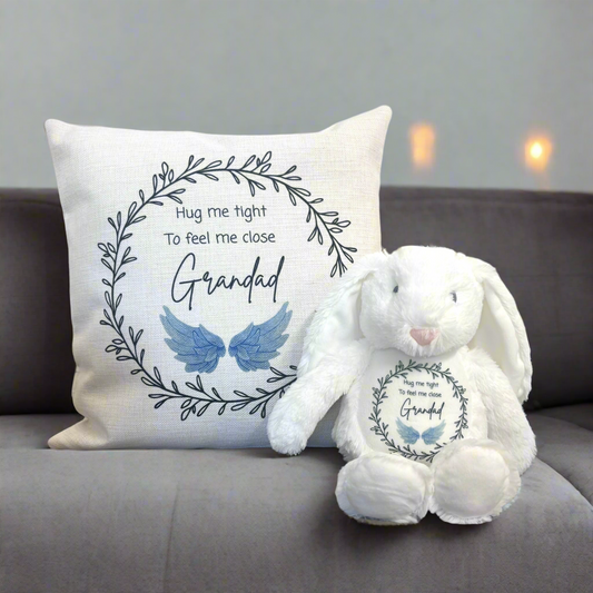 Hug me tight Blue wings Cushion and Teddy