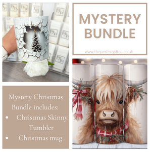 Mystery Christmas Skinny Tumbler And Christmas Mug Bundle