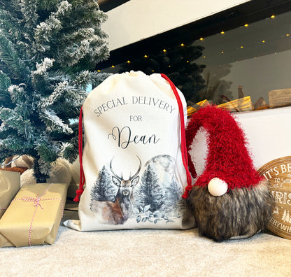Stag / Moon Santa Sack