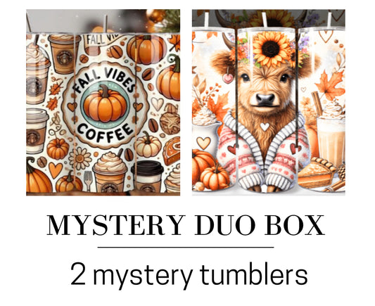 Mystery Duo Tumbler Box