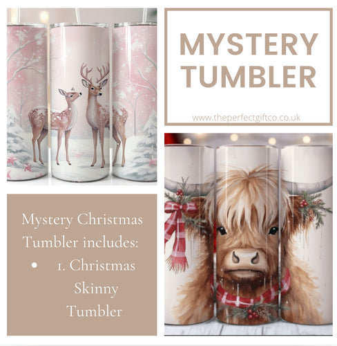 Mystery Christmas Skinny Tumbler