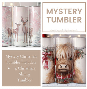 Mystery Christmas Skinny Tumbler