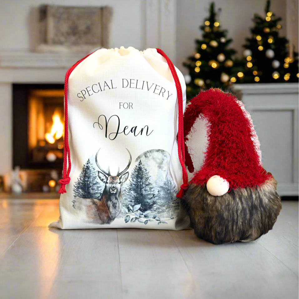 Stag / Moon Santa Sack