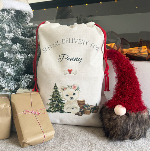 Santa Sack Snow Animal for Pets