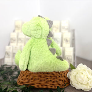 Dinosaur Plush Teddy - Initial and Name