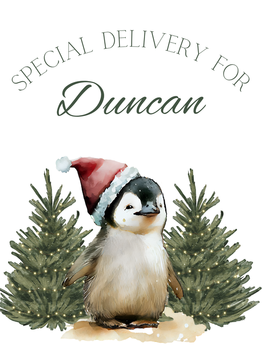 (TESTER) Penguin Stocking