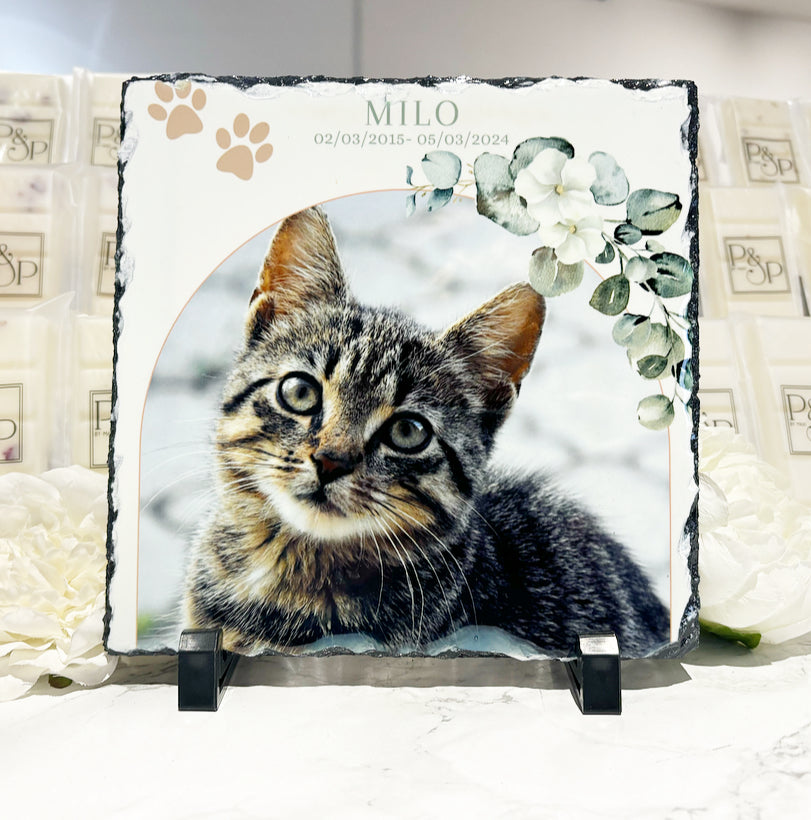 Forever in our hearts Cat/Dog Design