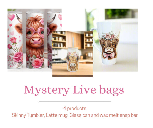 Mystery LIVE BAG (4 Products)