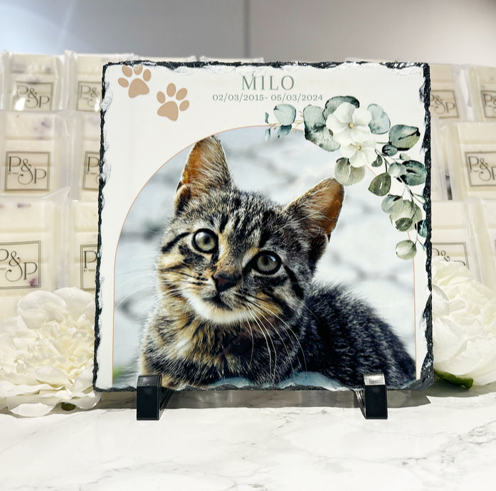 Forever in our hearts Cat/Dog Design