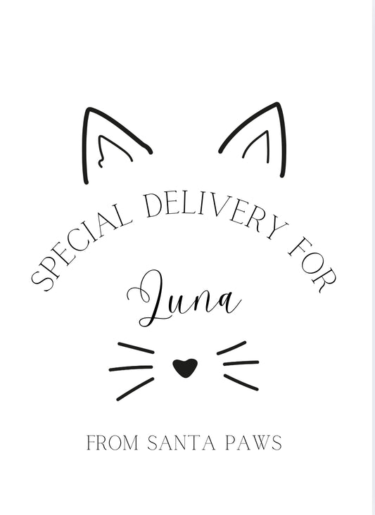 TESTER Cat Santa Sack and stocking