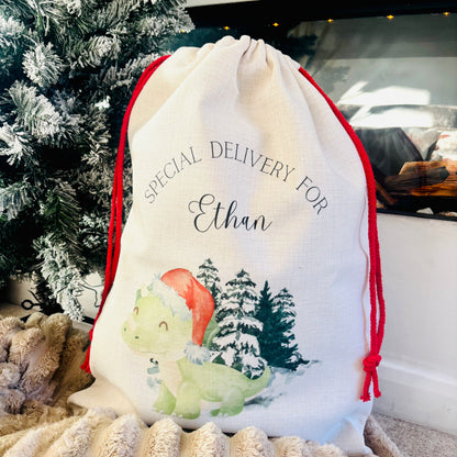 Dinosaur Santa Sack