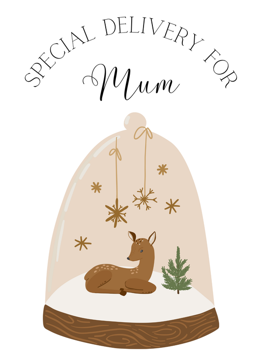 TESTER Santa Sack and stocking Deer and dome