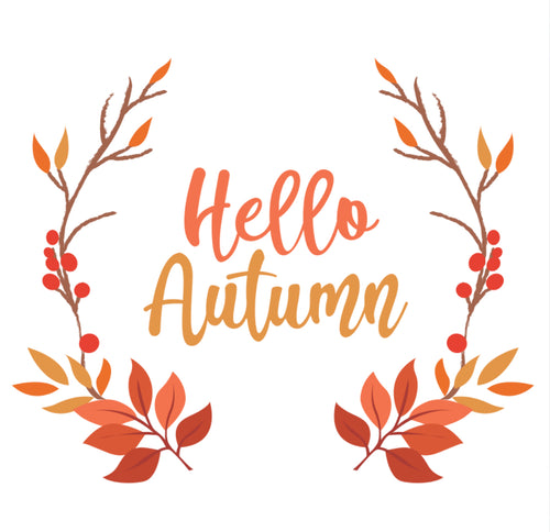 Tester Bundle: Hello Autumn Gonk Cushion, Mug & Coaster