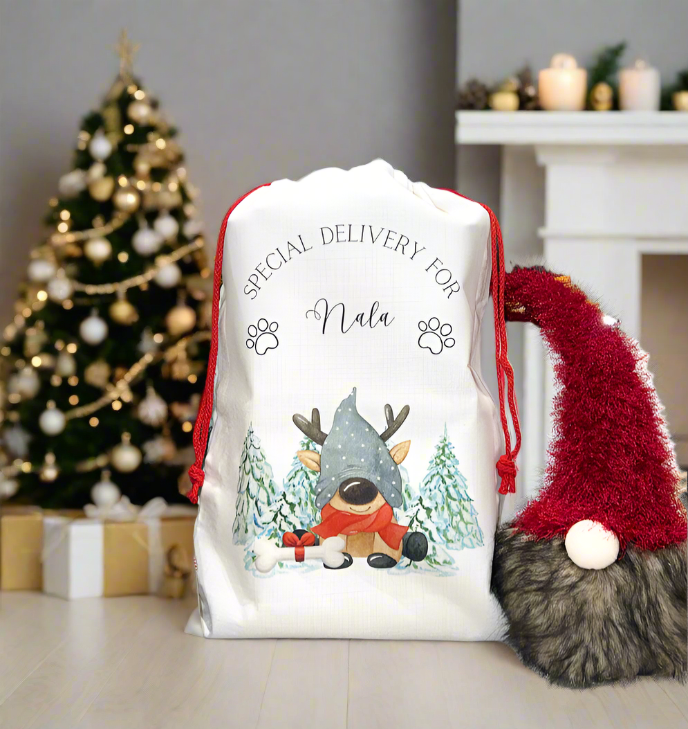 Santa Sack Reindeer Pet