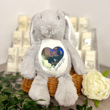 Floppy Rabbit Plush Teddy - Photo and Text