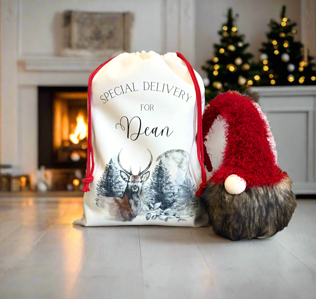 Stag / Moon Santa Sack