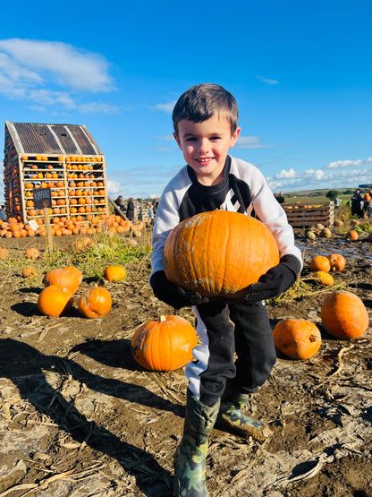 Stock image / for email use / promo