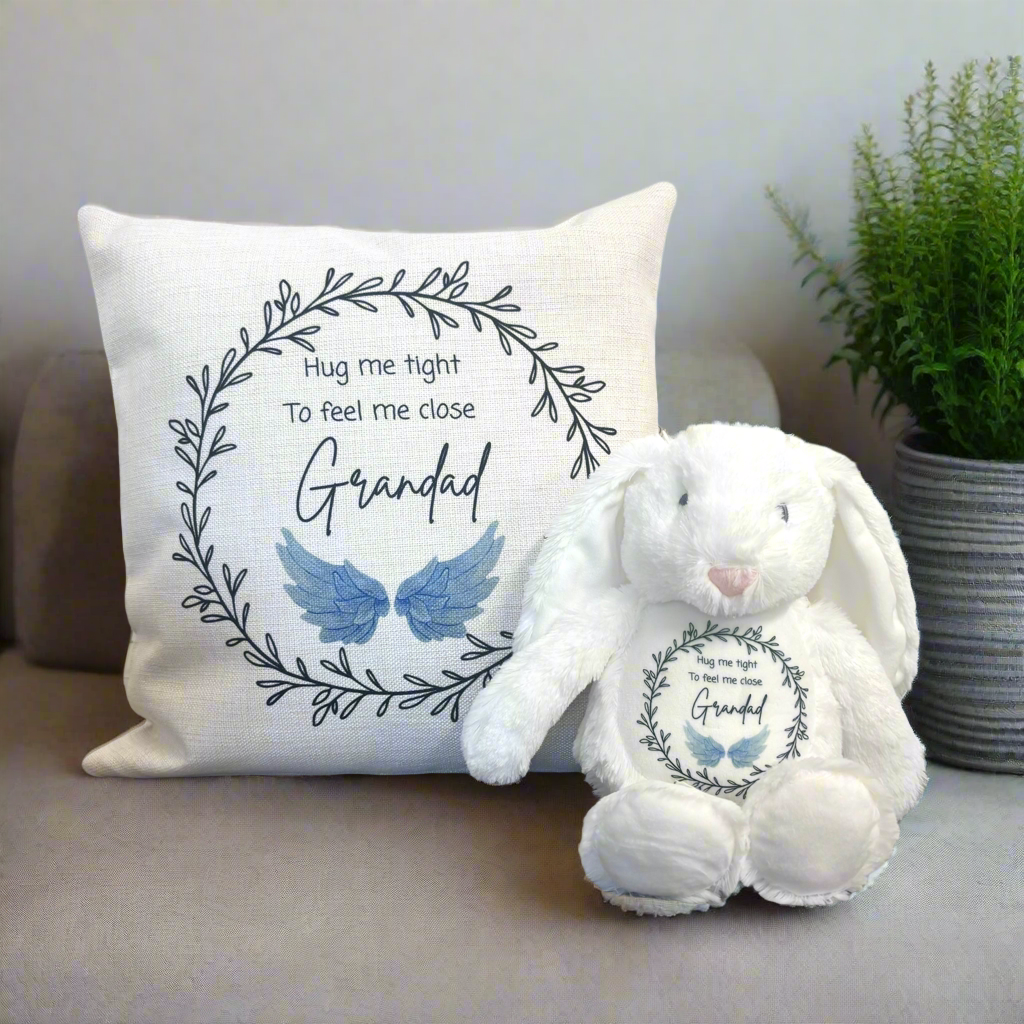 Hug me tight Blue wings Cushion and Teddy