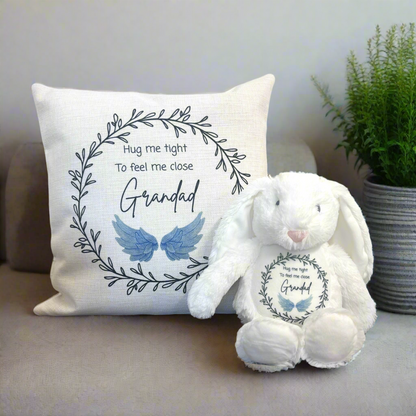 Hug me tight Blue wings Cushion and Teddy