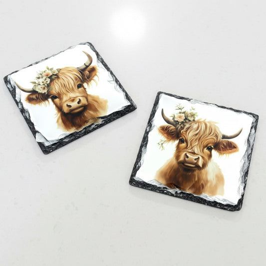 Sage Green Highland Cow Coasters Set