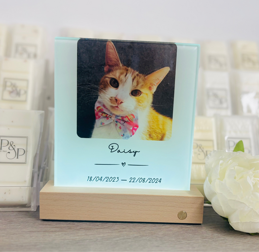 Glass Polaroid Photo And Text Design