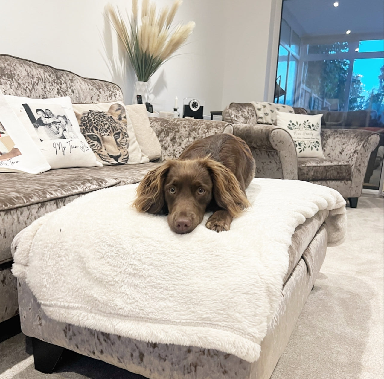 Stock image / for email use / promo