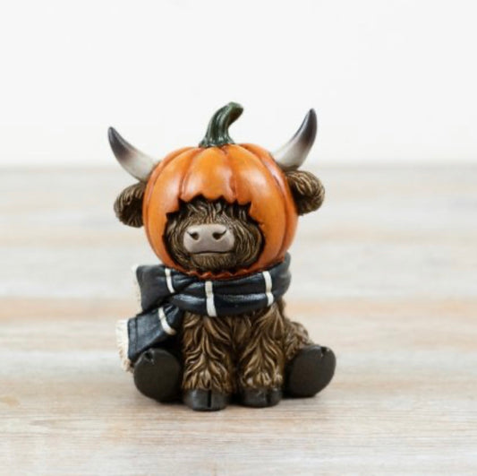 Highland cow pumpkin