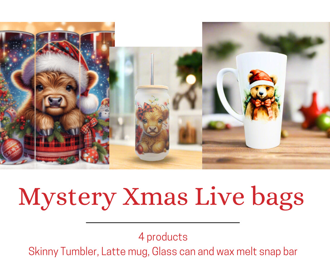 Mystery Christmas LIVE BAG (4 Products)