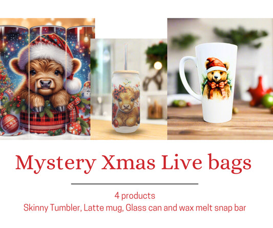 Mystery Christmas LIVE BAG (4 Products)