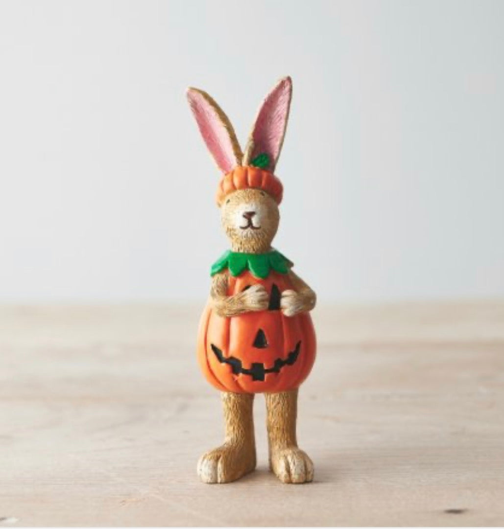 Pre Order: Jasper Rabbit Pumpkin