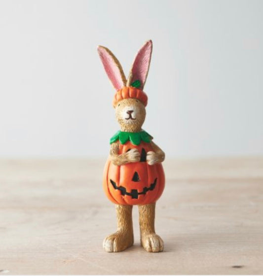 Pre Order: Jasper Rabbit Pumpkin