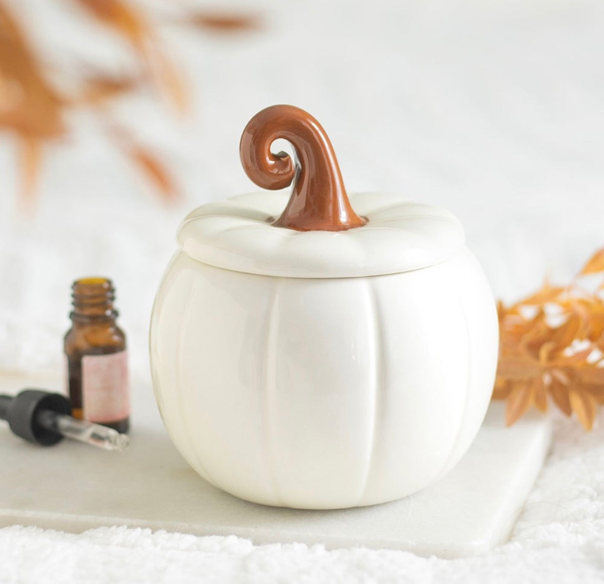 Pre order: Pumpkin Curly Stalk Oil Burner